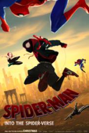 Spiderman: Into Spiderverse 2018 DVDRip-AVC download torrent - Leading  Shoes Sole Company in Delhi, India | PVC, TPR, PU, EVA, Phylon & Rubber